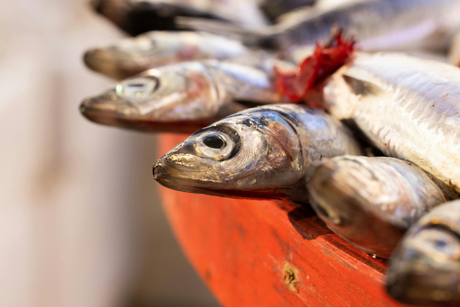 Omega-3: Viktig för hjärnhälsan och mycket mer