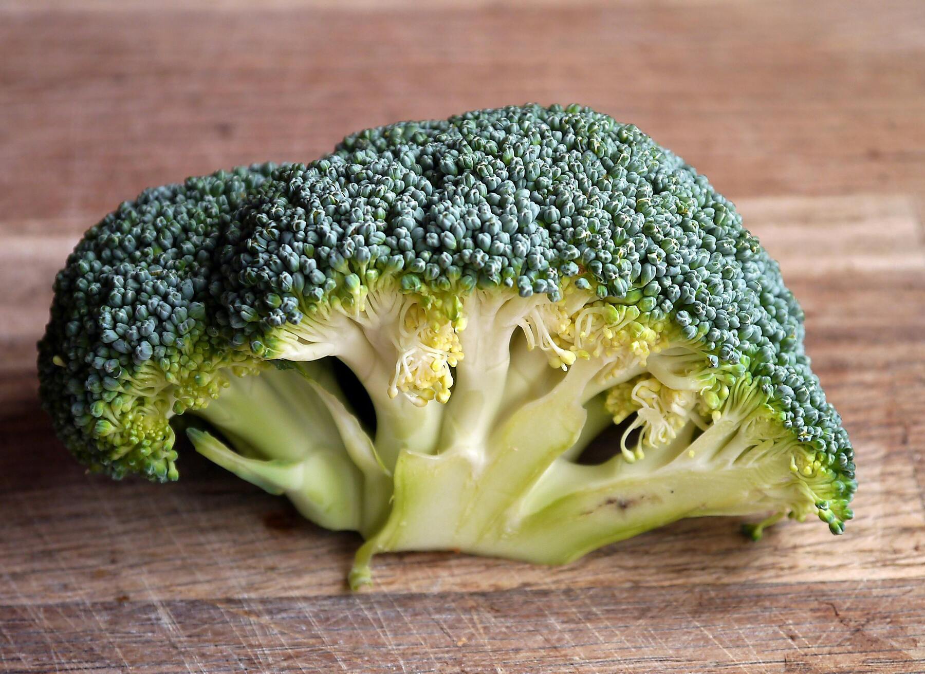 Hälsofördelar med broccoli